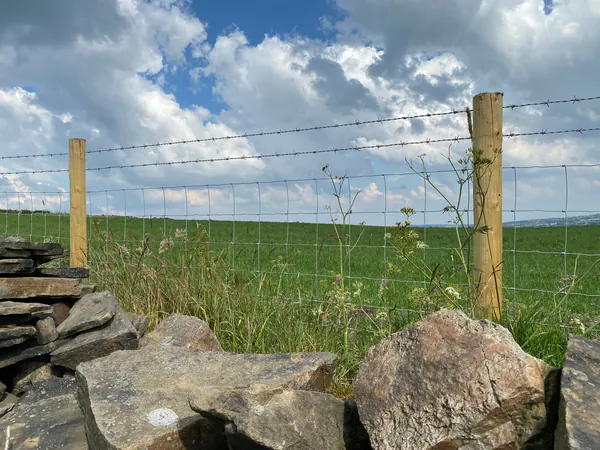 Stock fencing – one of the fencing styles in Weston-super-Mare installed by Mr Fencer